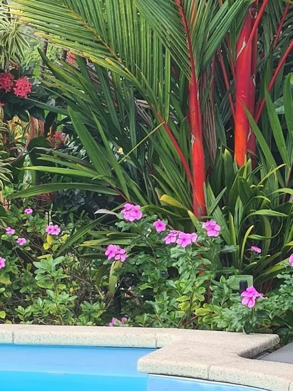 Villa Kezia - Le Marin - Martinique